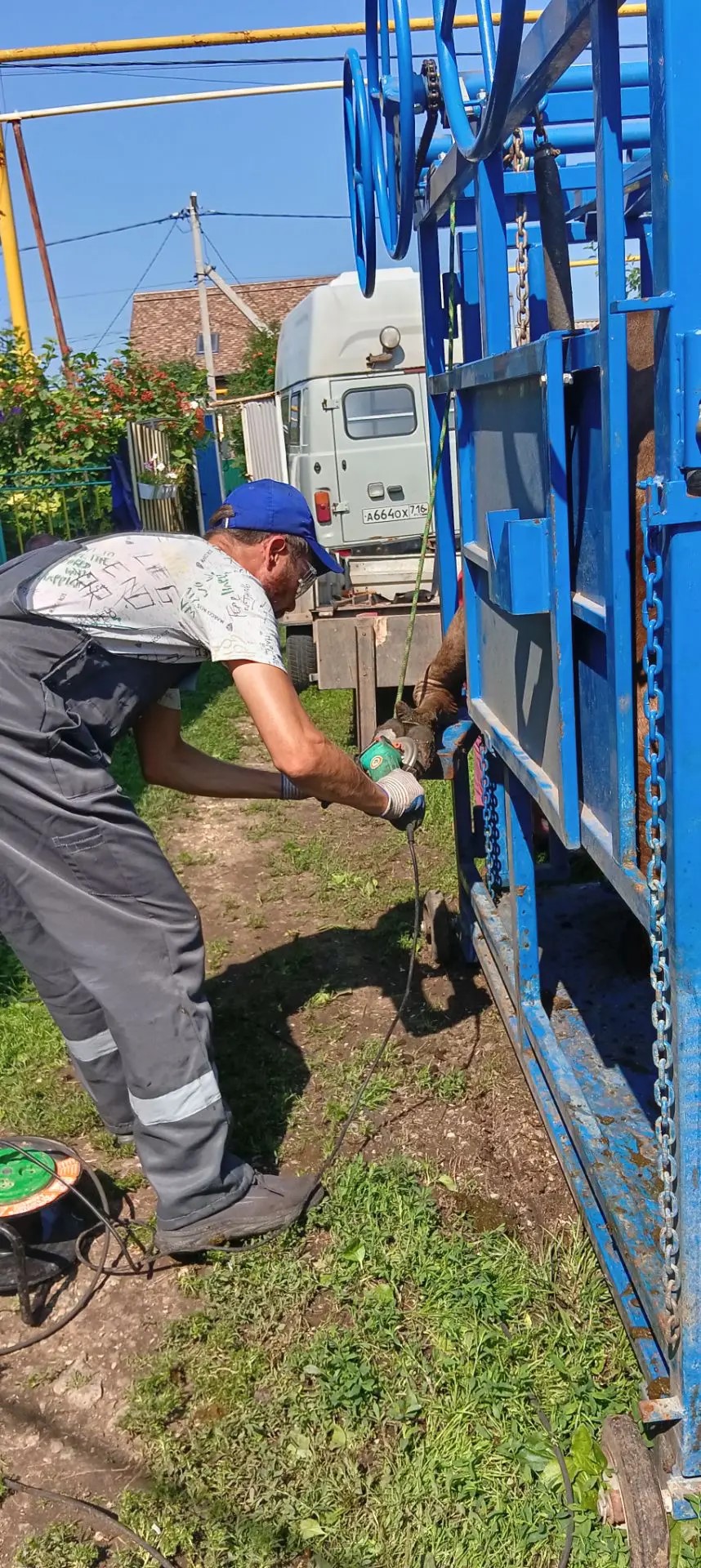 Обрезка копыт.