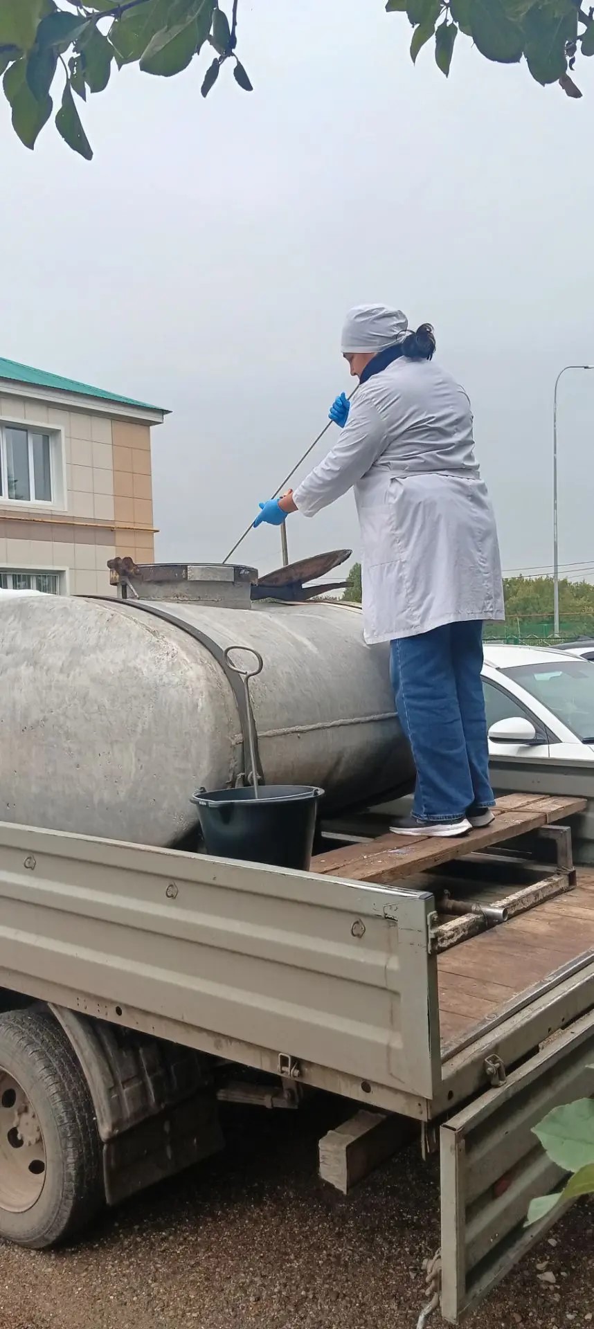 Отбор проб молока!
